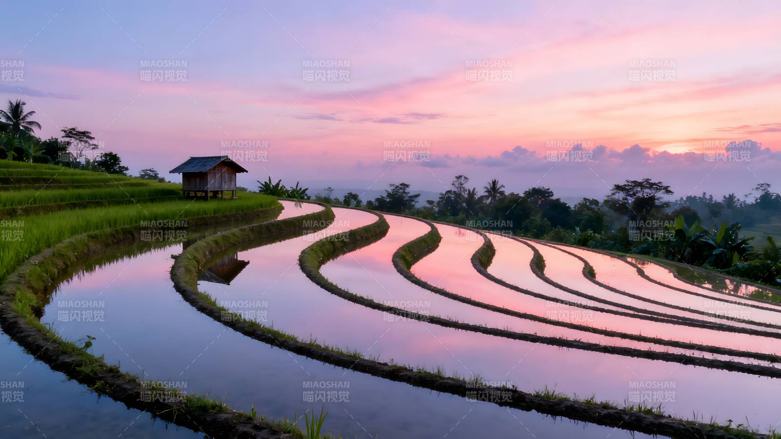 梯田晨曦美景图片