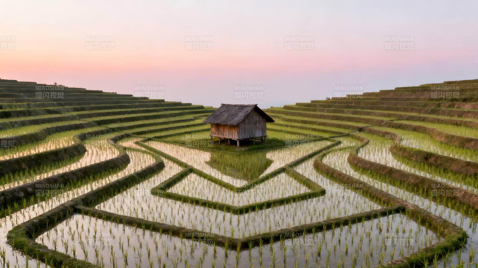 梯田晨曦小屋图片