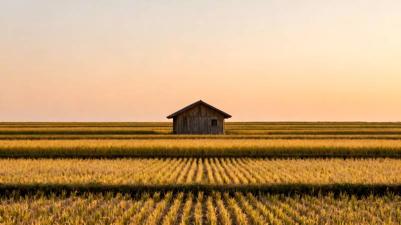 麦田孤屋夕阳图片