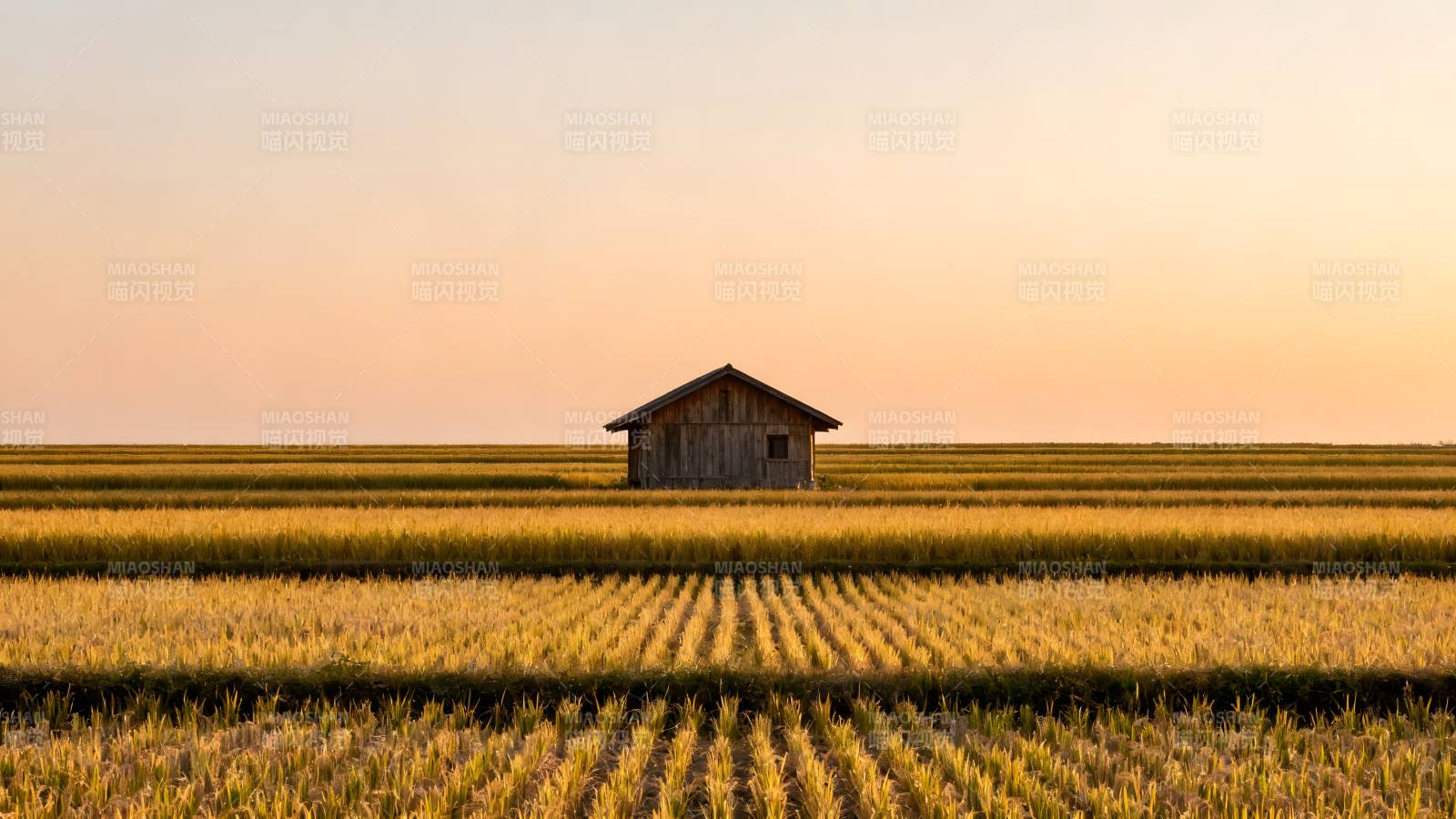麦田孤屋夕阳图片