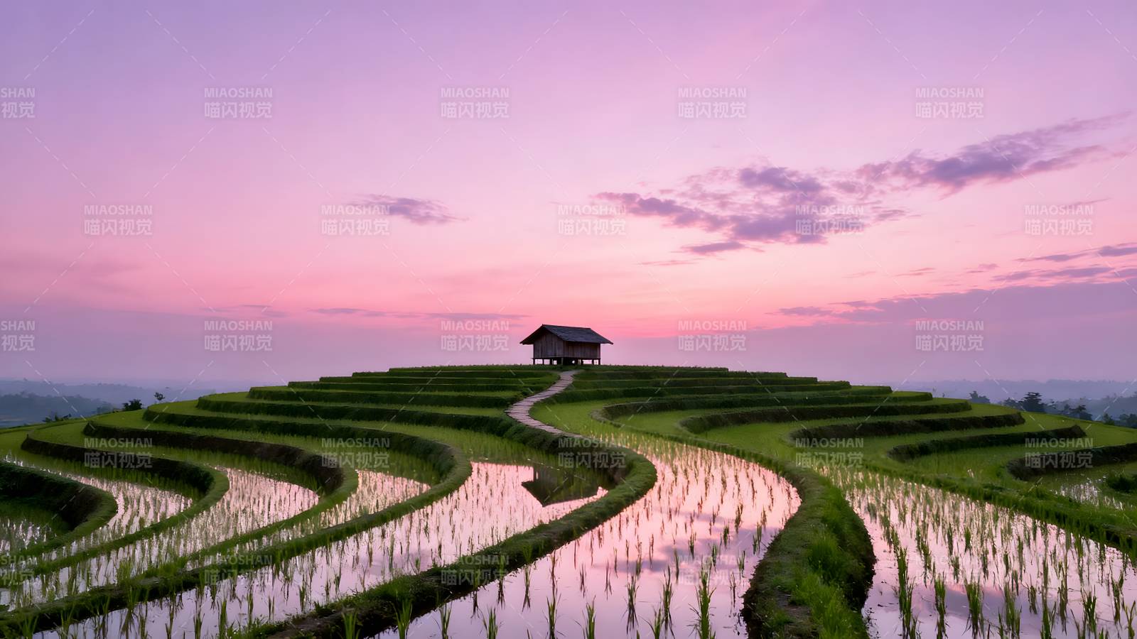 梯田晨曦图片