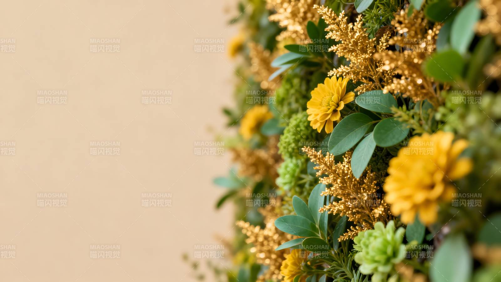 秋日花墙美景图片