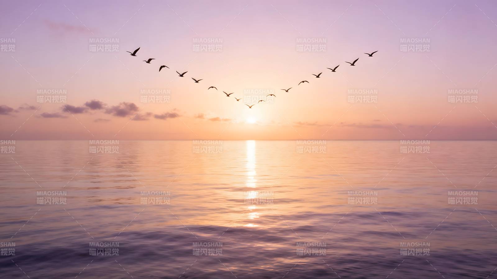 雁阵归途日落时图片
