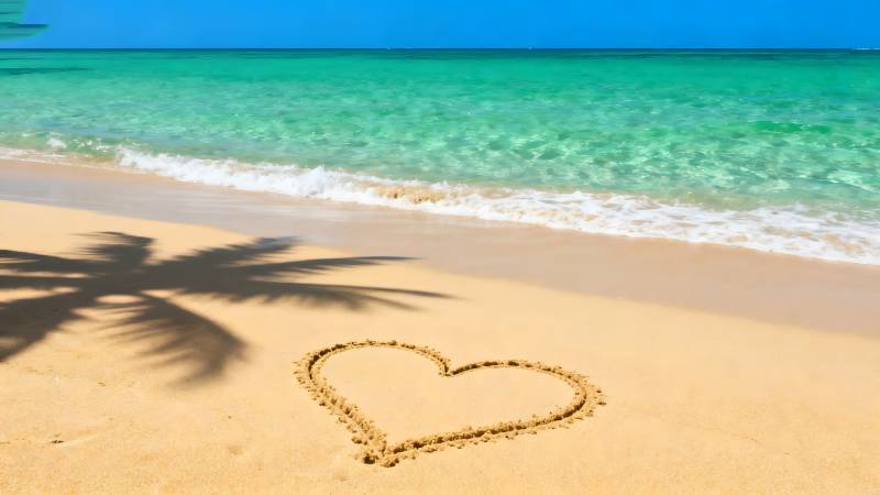 沙滩心形与椰影图片