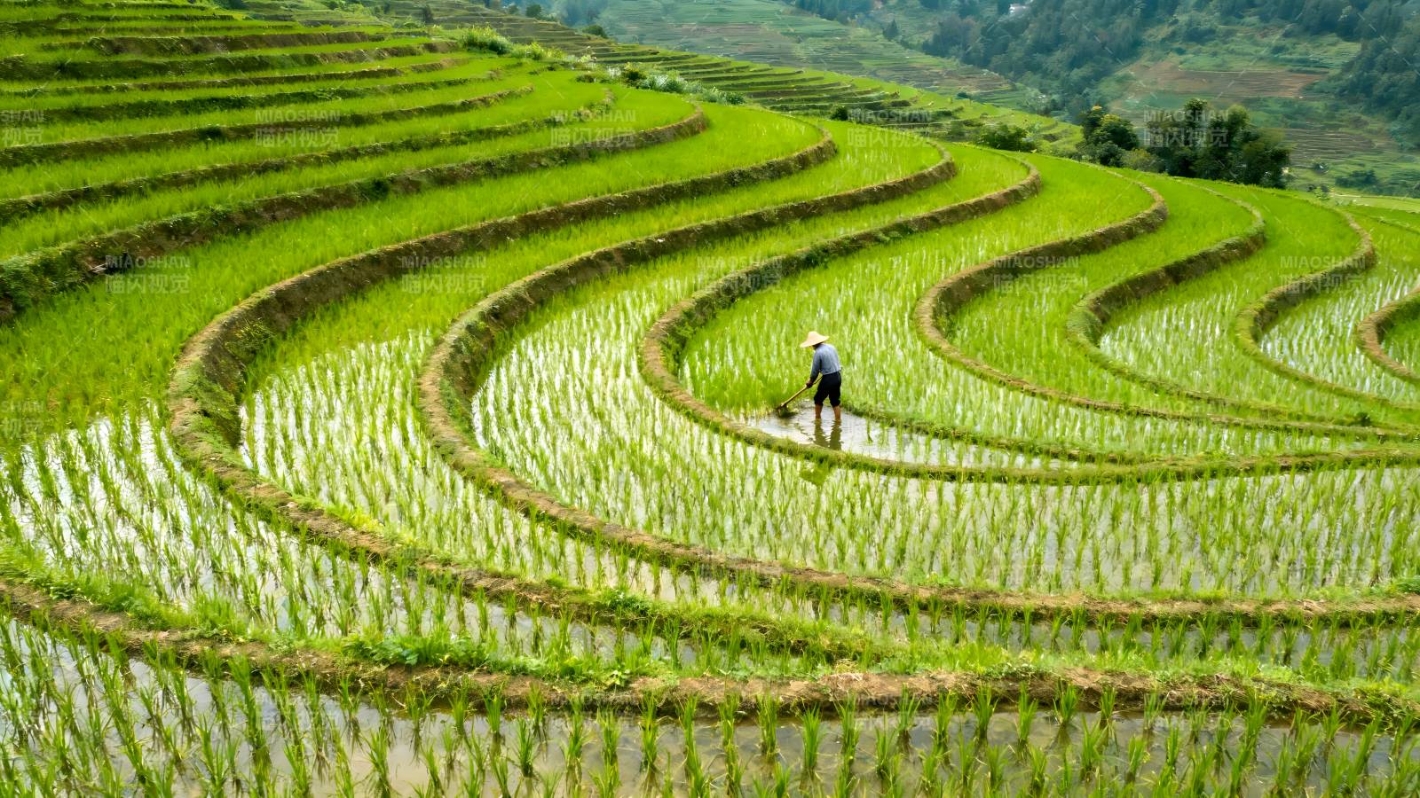 梯田农耕图图片