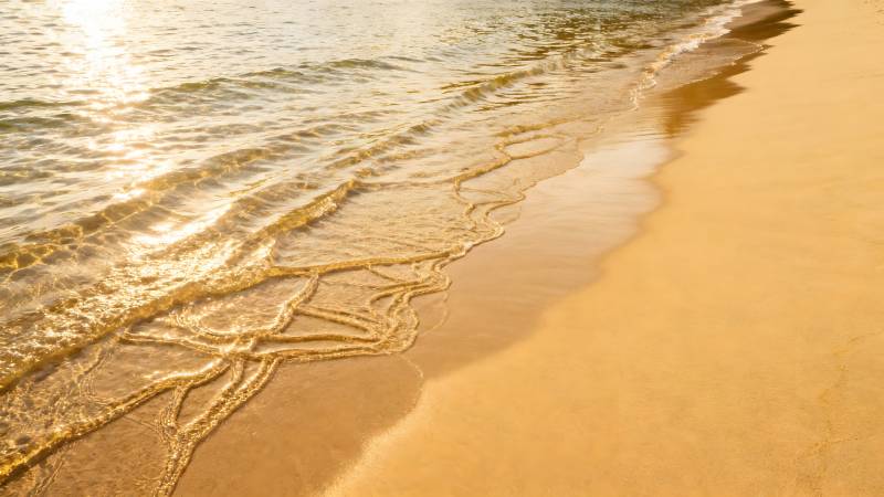 金色沙滩与海浪图片