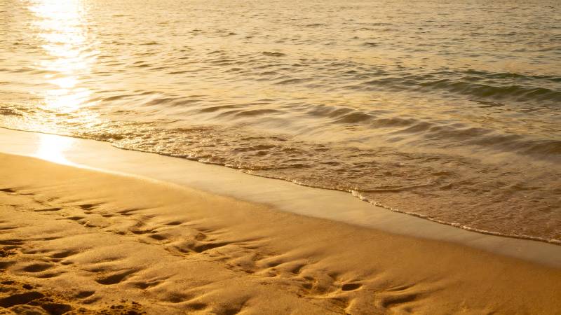 金色沙滩日落美景图片