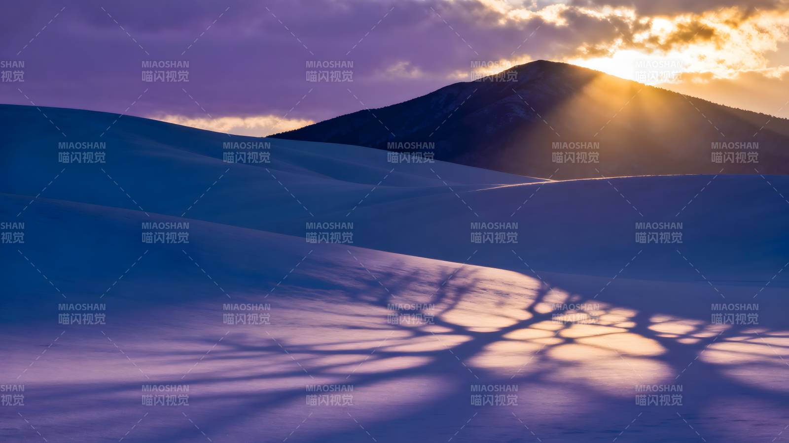 雪原日出光影图片