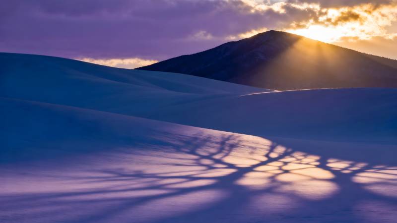 雪原日出光影图片