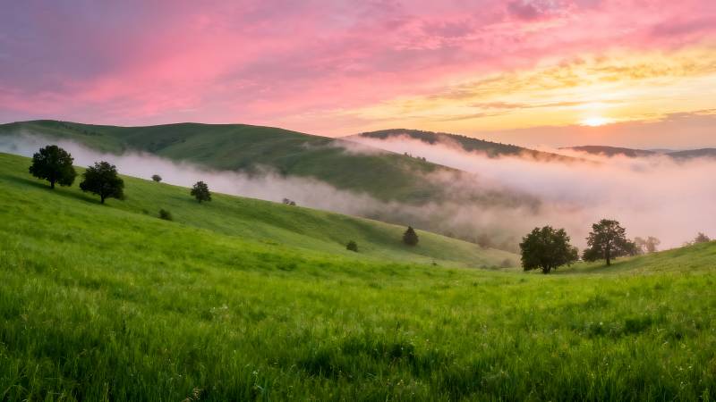 晨雾绿野日出图片