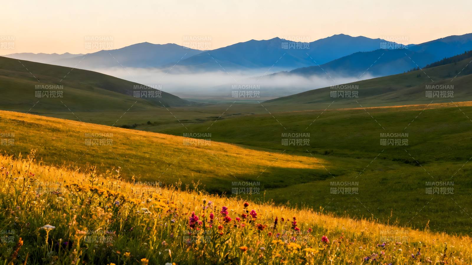 山野晨曦花海图片