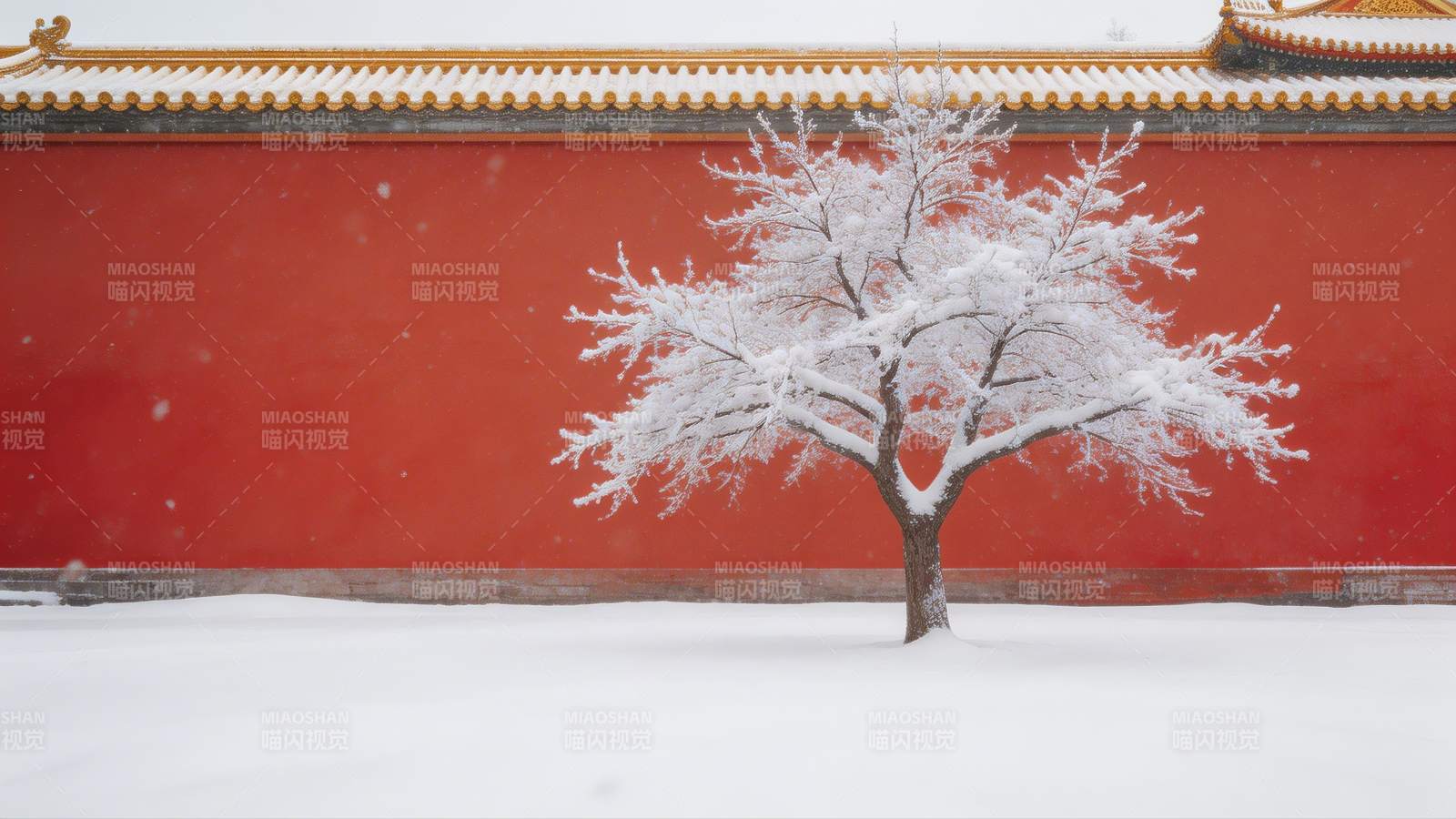雪中红墙古树图片