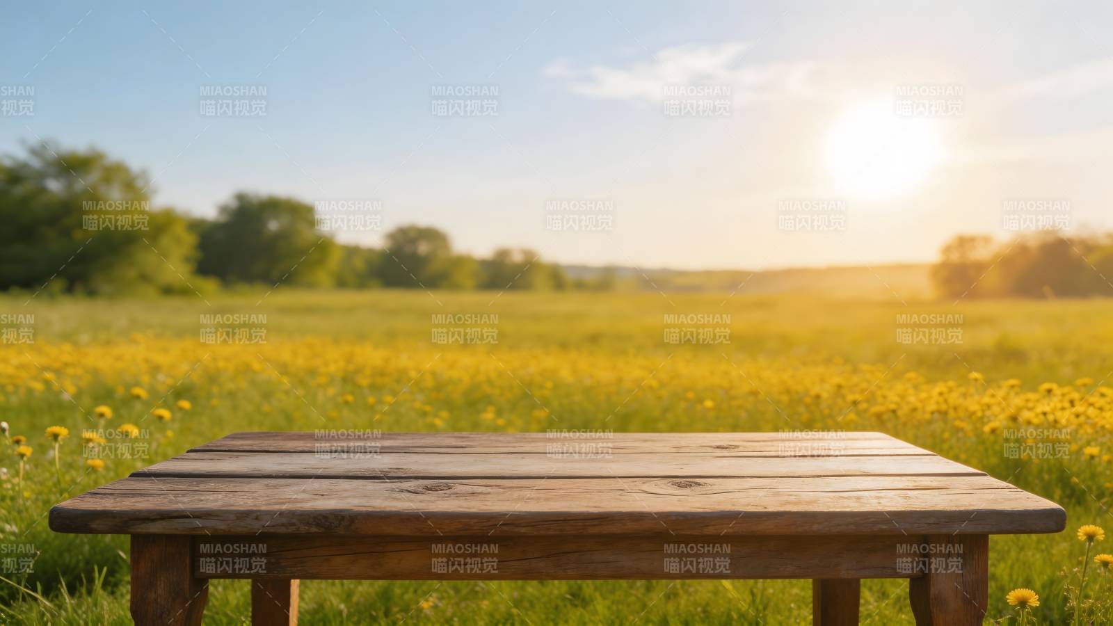 木桌映夕阳 花海静谧图片