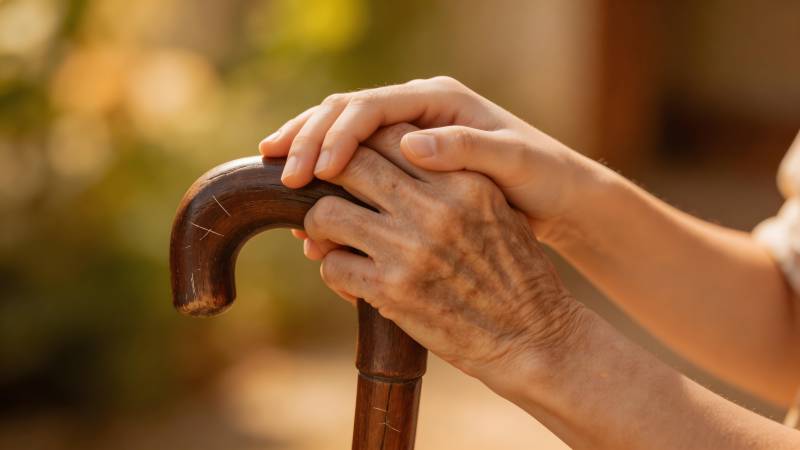 搀扶老人 温暖相伴图片