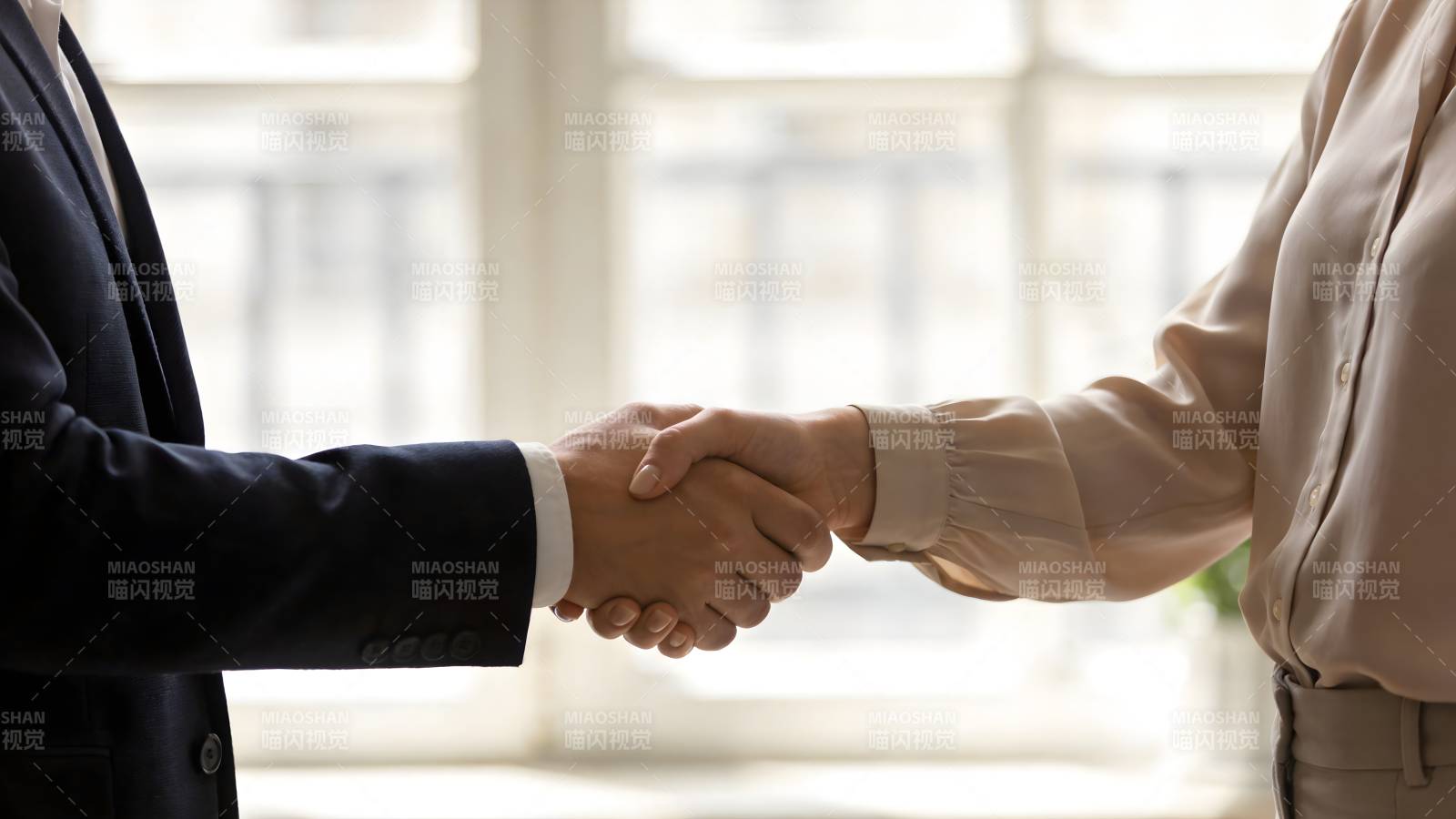 握手合作 共谋发展图片
