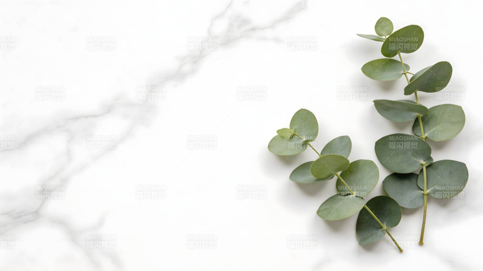 绿叶点缀大理石图片