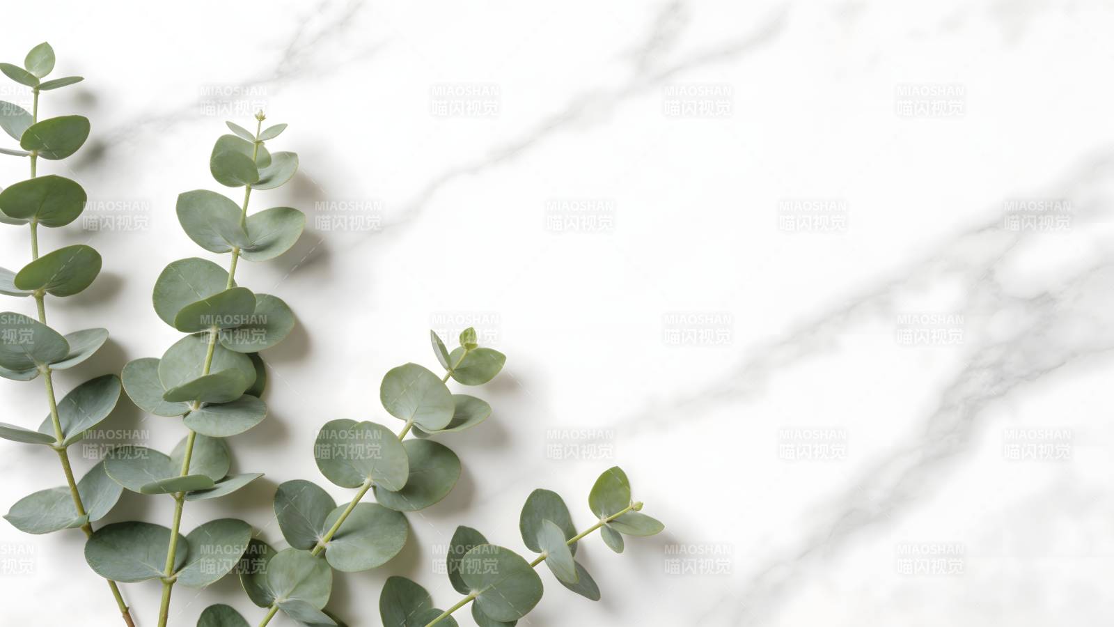 绿叶点缀大理石图片