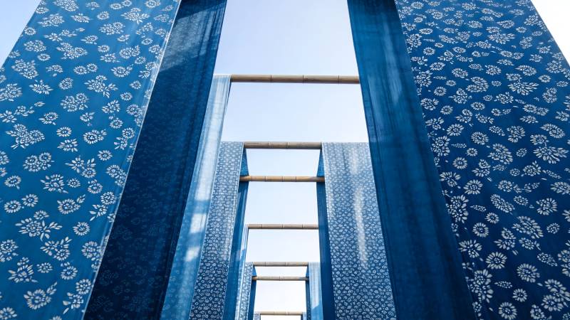 蓝花窗帘映天光图片