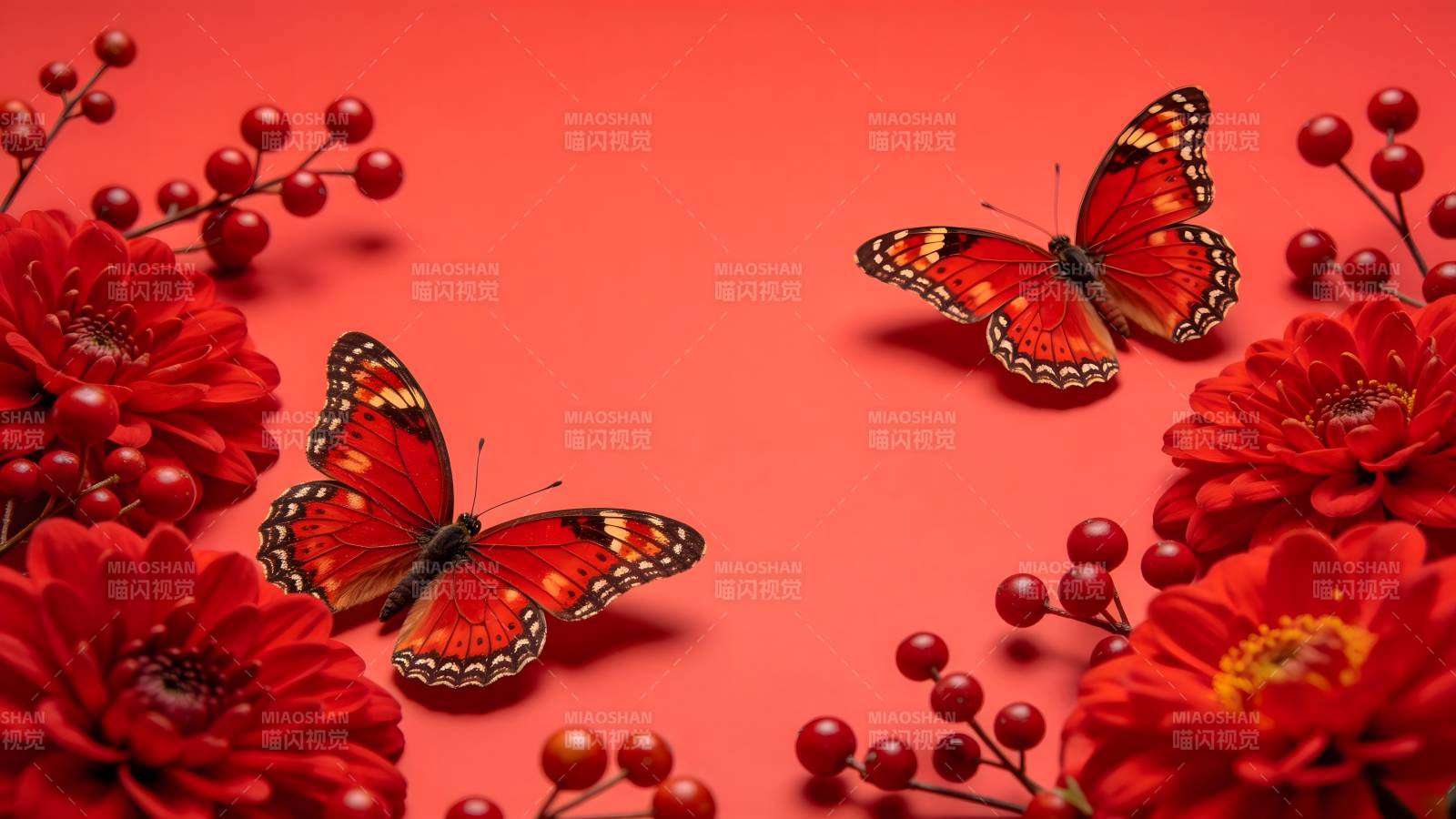 红蝶舞花间图片