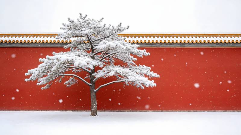 雪中红墙树影图片