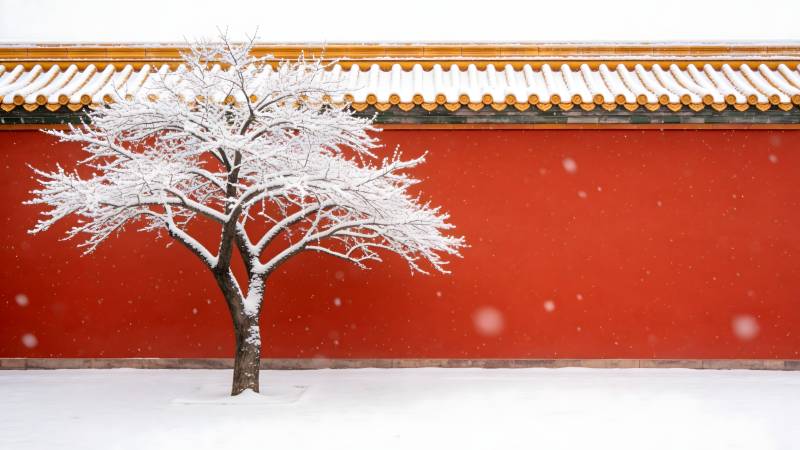 雪中红墙树影图片