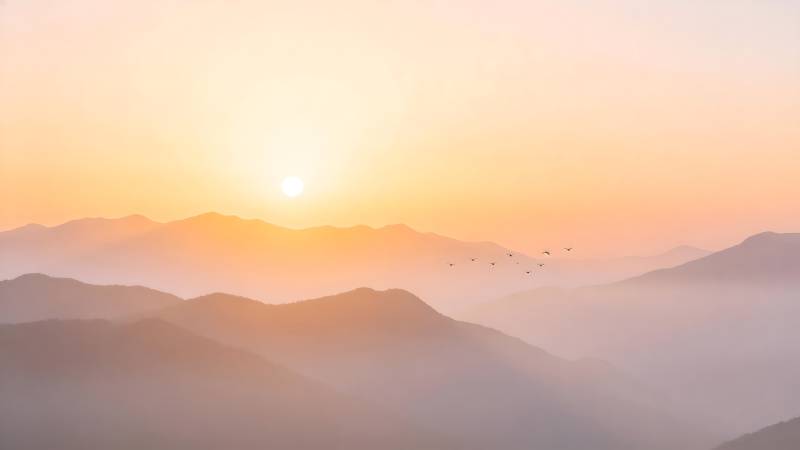 晨曦山峦飞鸟图片