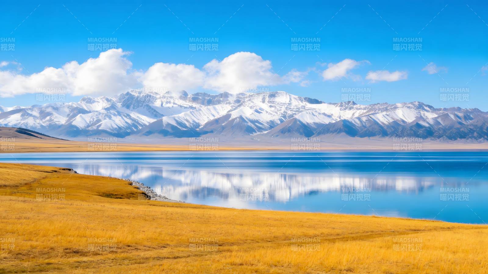 雪山映湖 草原如金图片