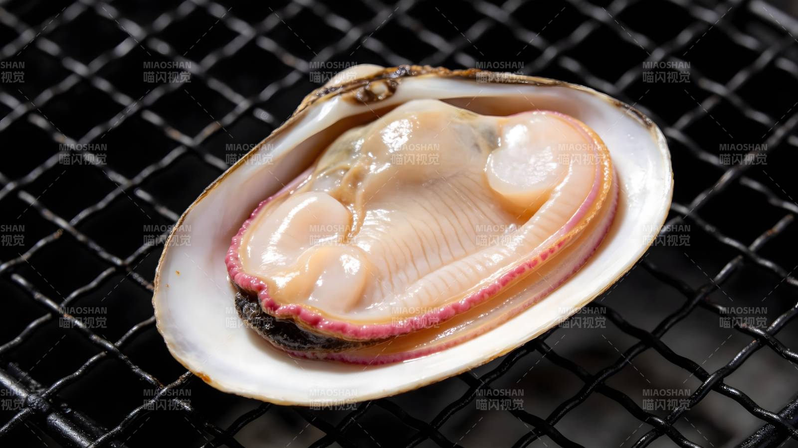 新鲜蛤蜊特写图片