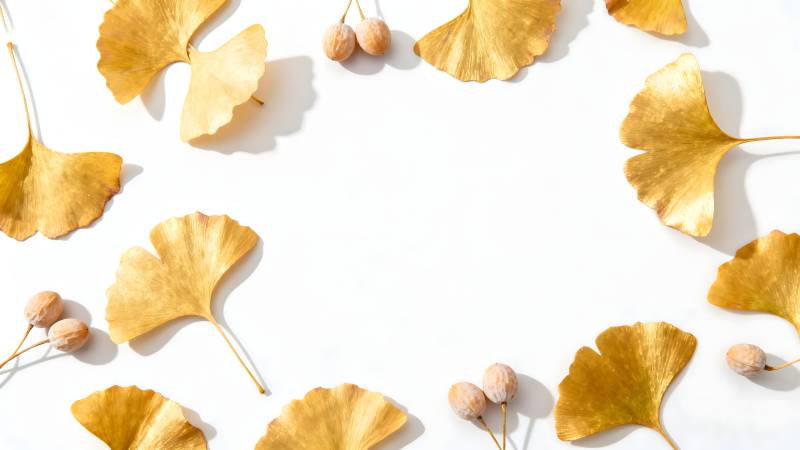 银杏叶秋日静美图片