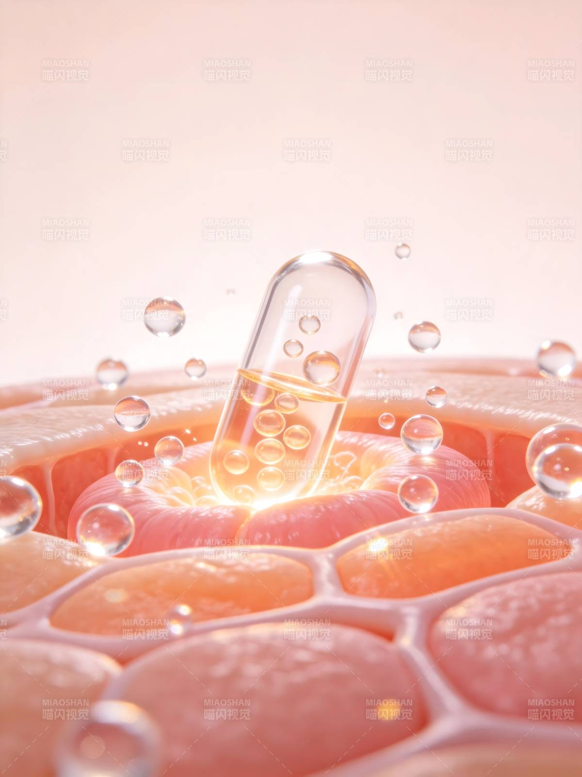 胶囊渗透细胞图片