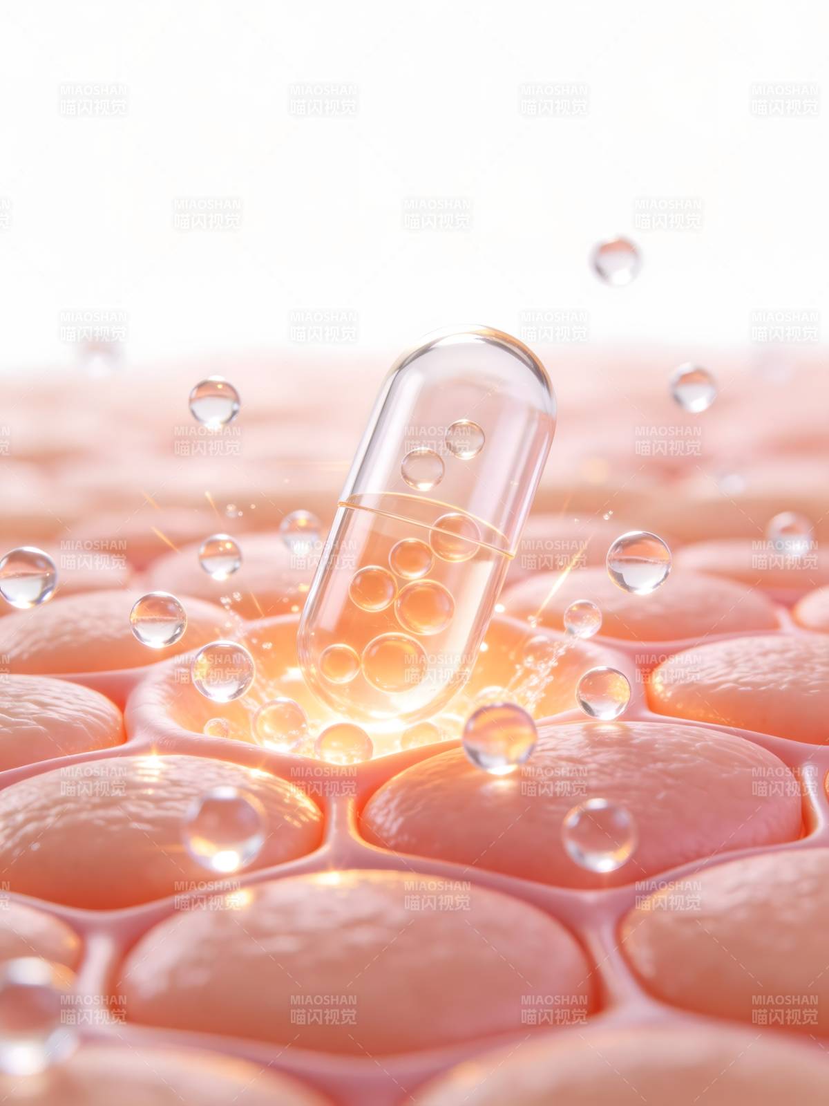 胶囊渗透细胞图图片