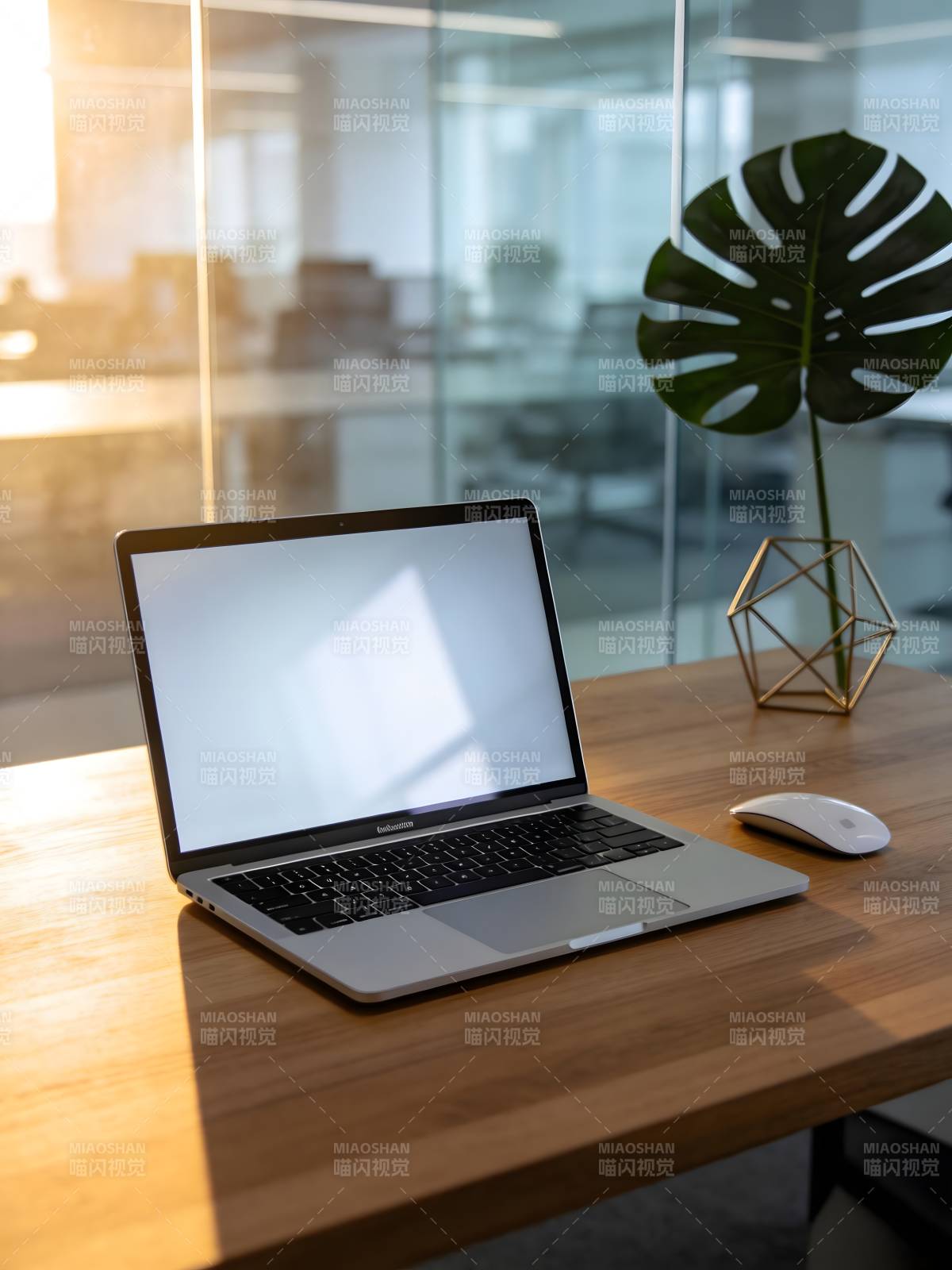 阳光下的办公桌图片