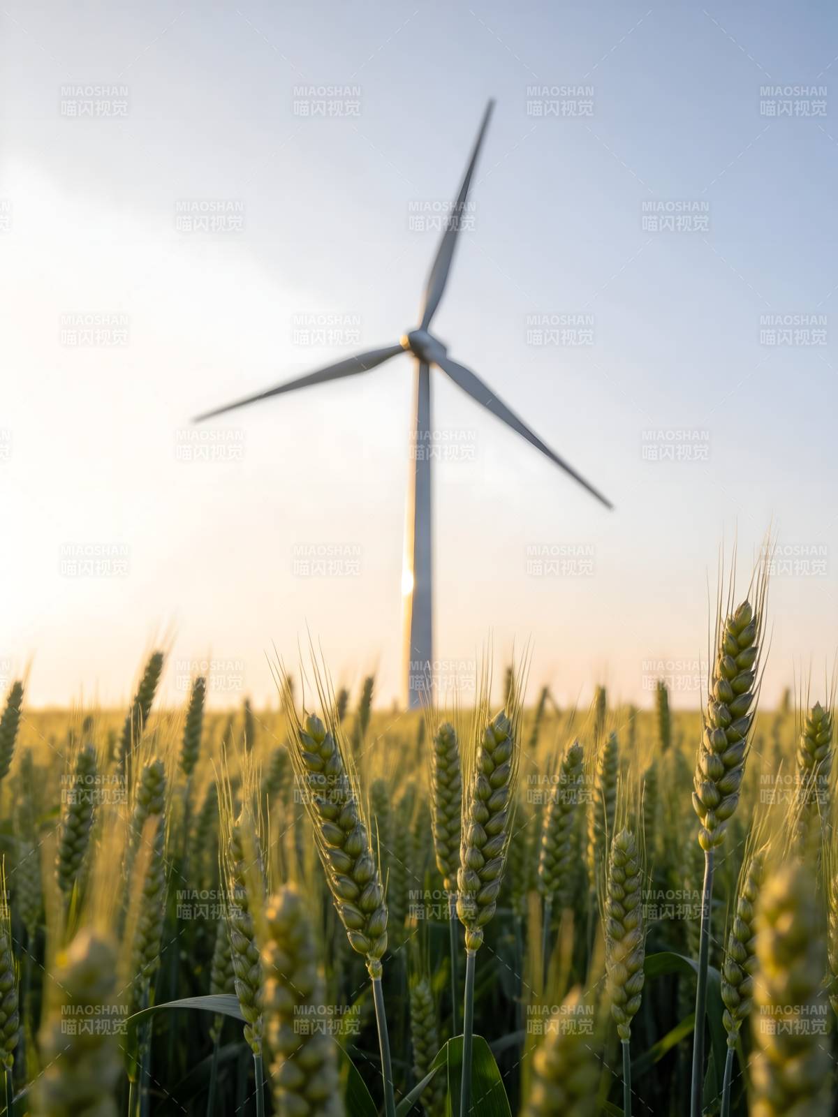 风车与麦田图片