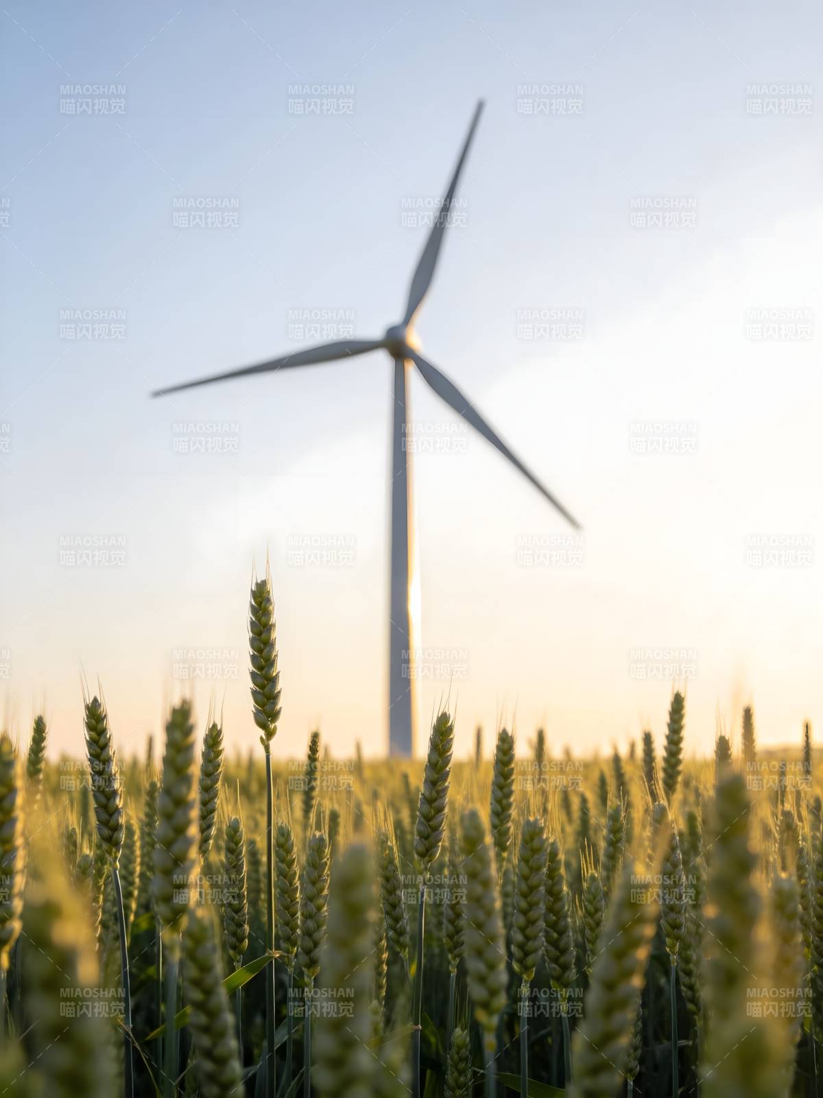 风车麦田风光图片