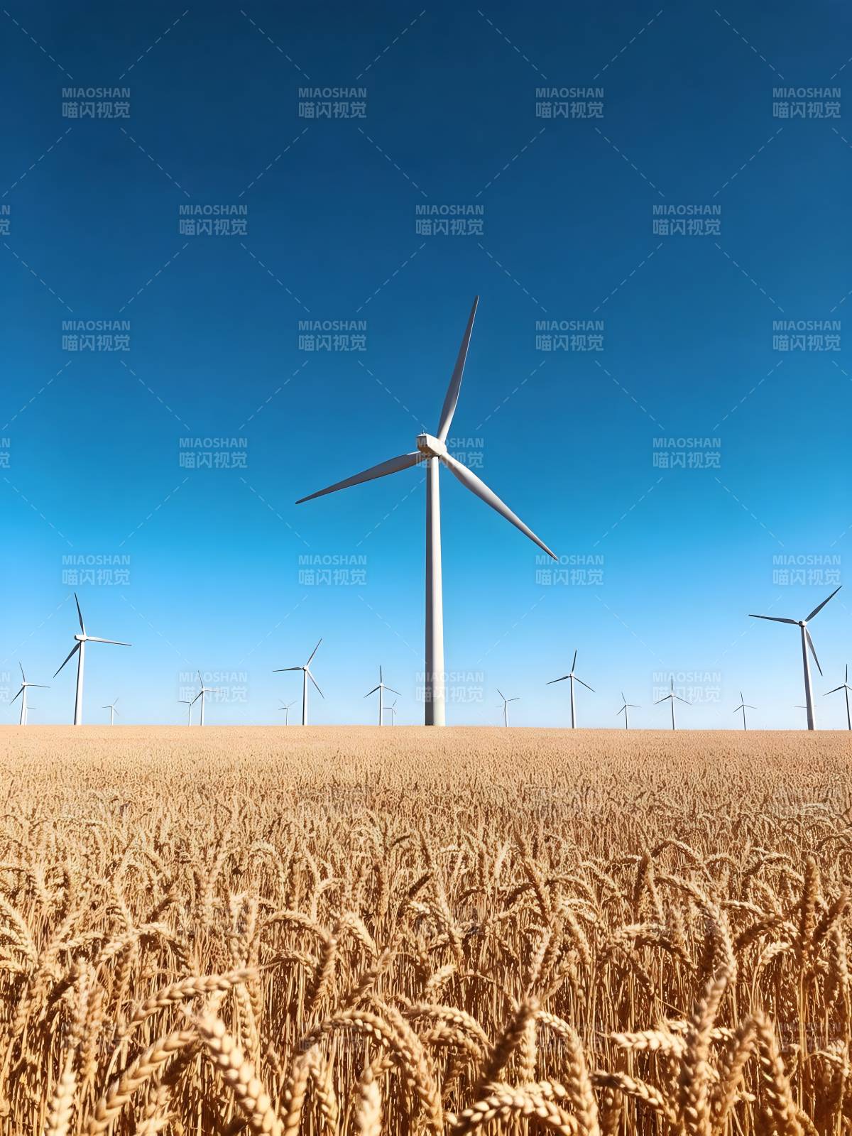 风车麦田蓝天图片
