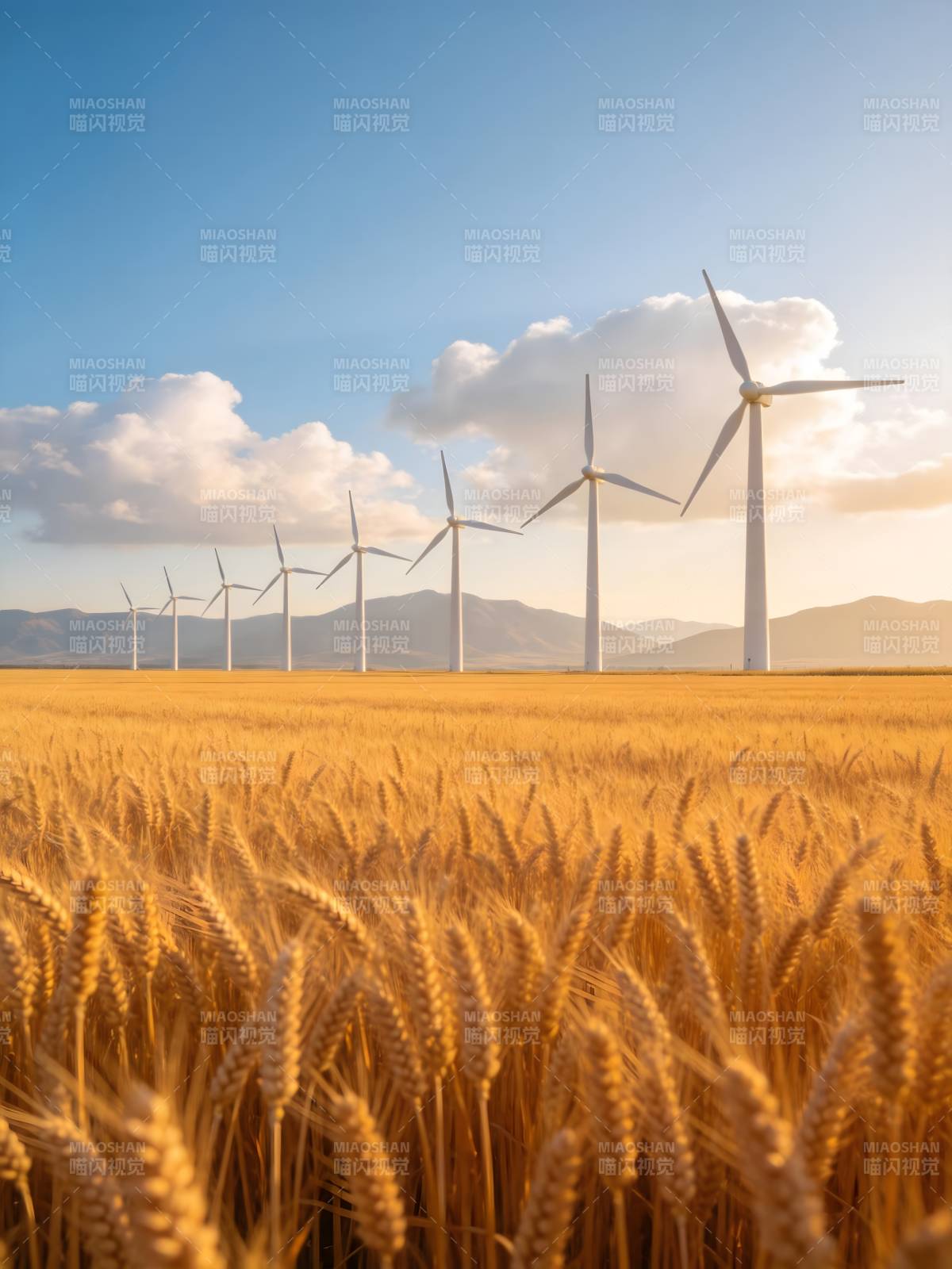 风车麦田共舞图片