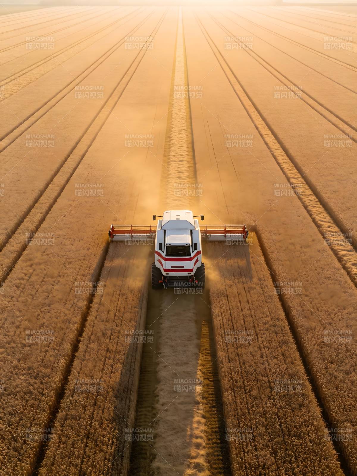 金秋收割忙图片