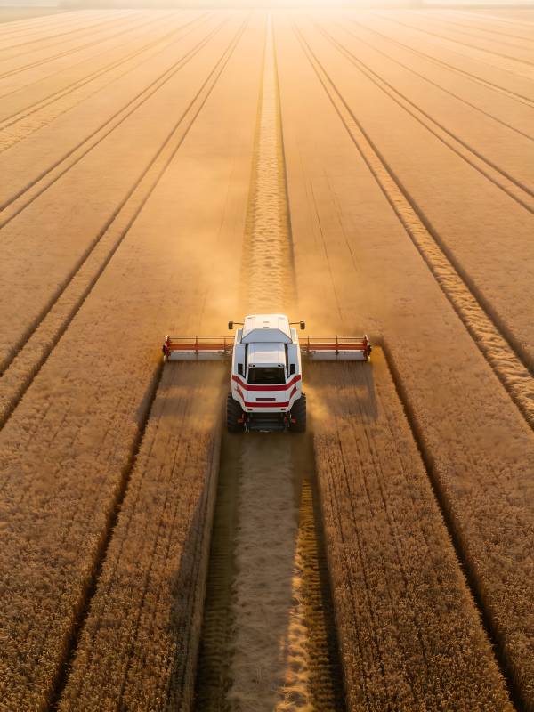 金秋收割忙图片