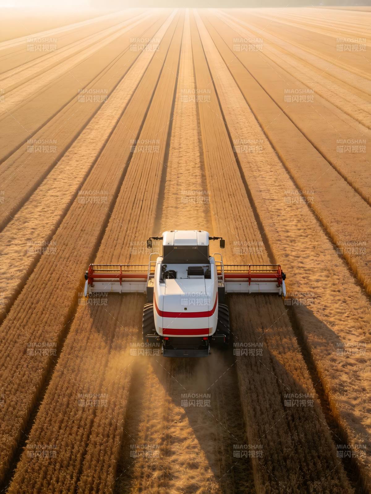 金色麦田收割忙图片