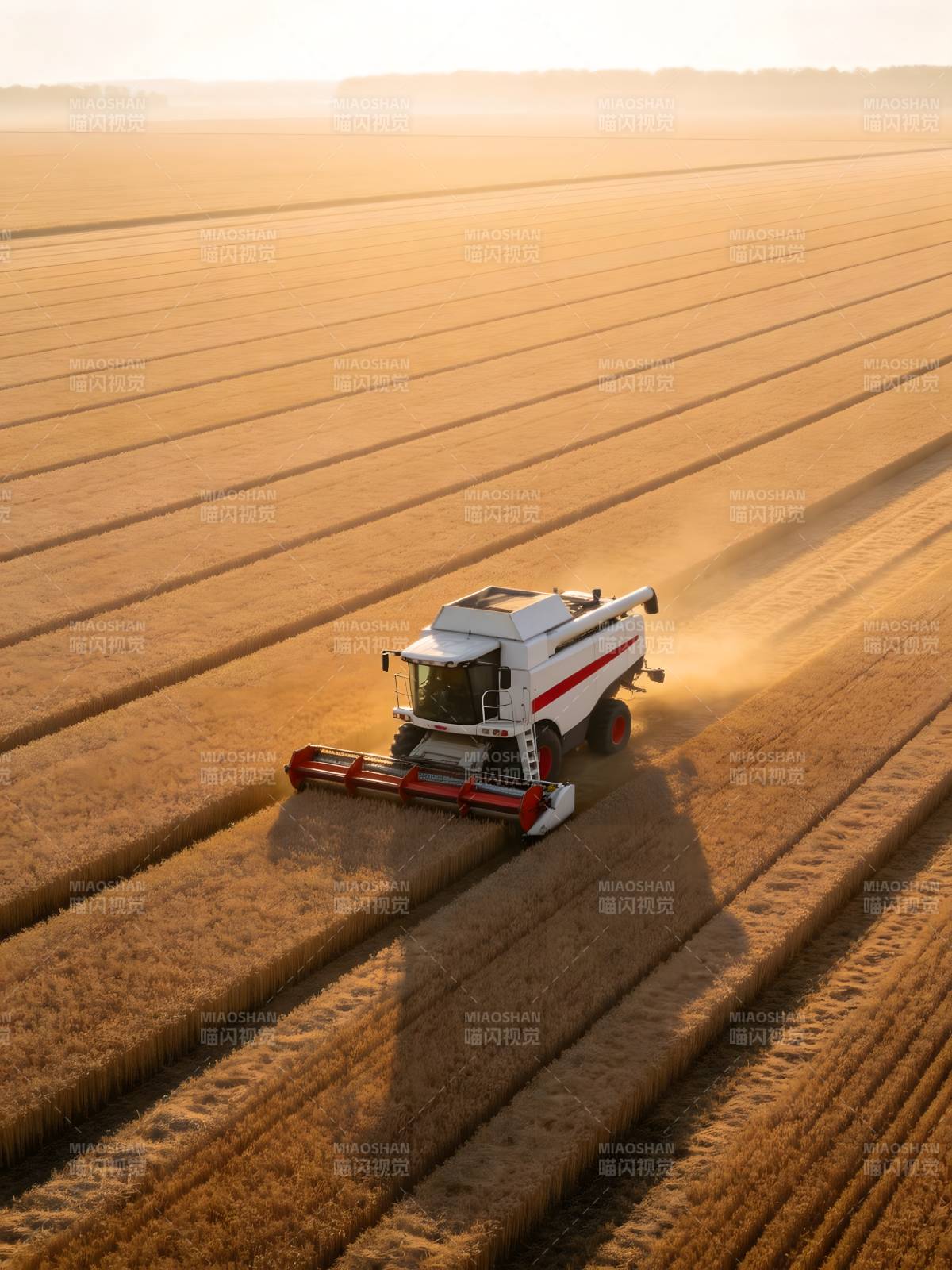 金色麦田收割忙图片