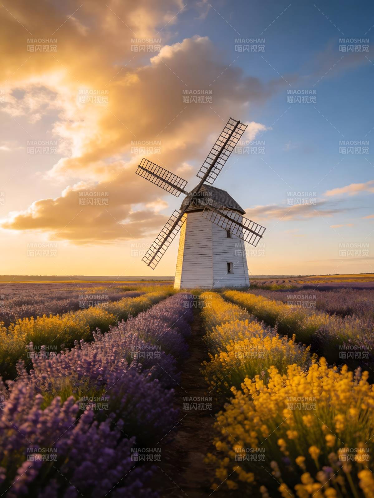 风车花海夕阳图片