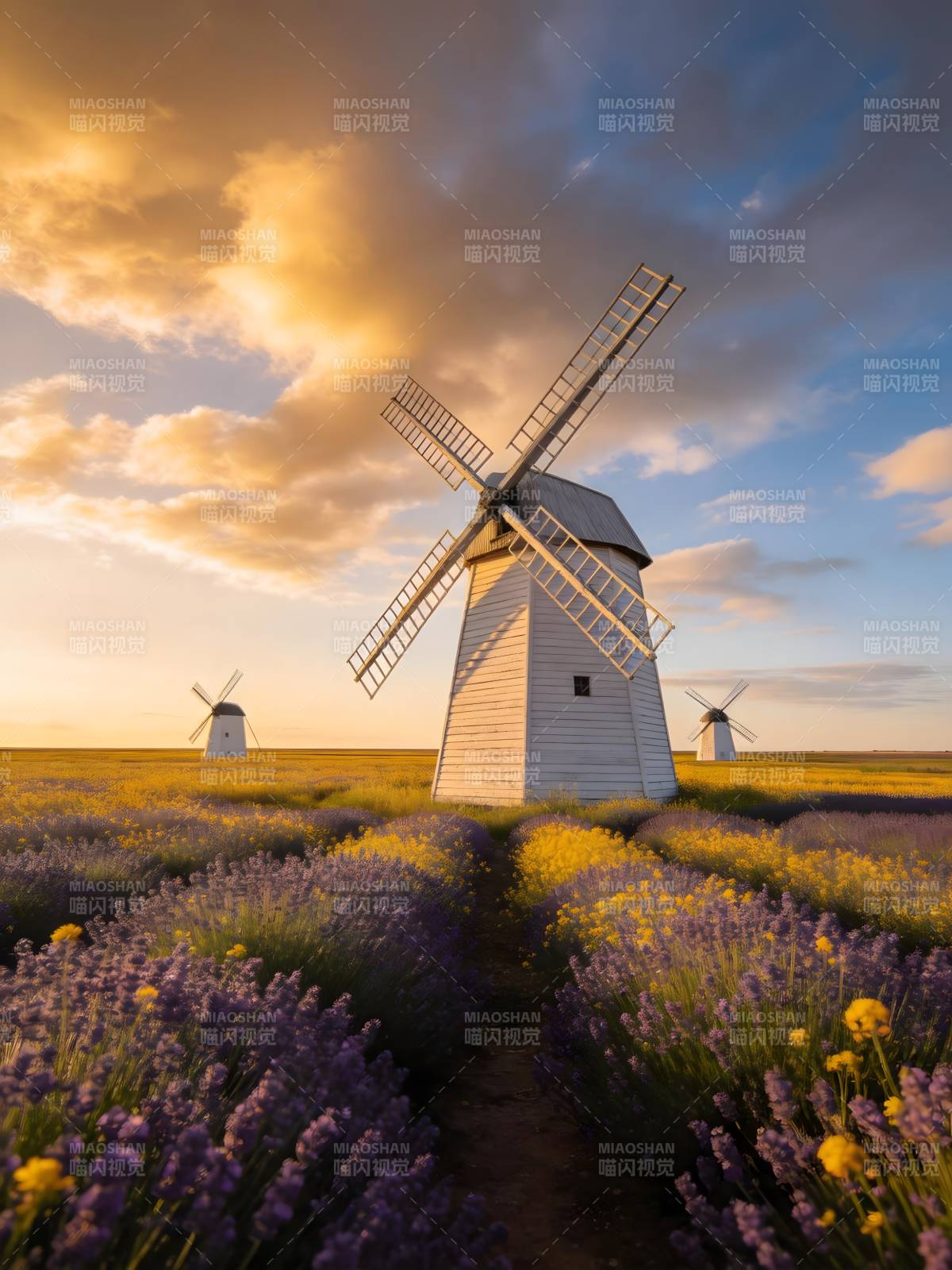风车花海夕阳图片