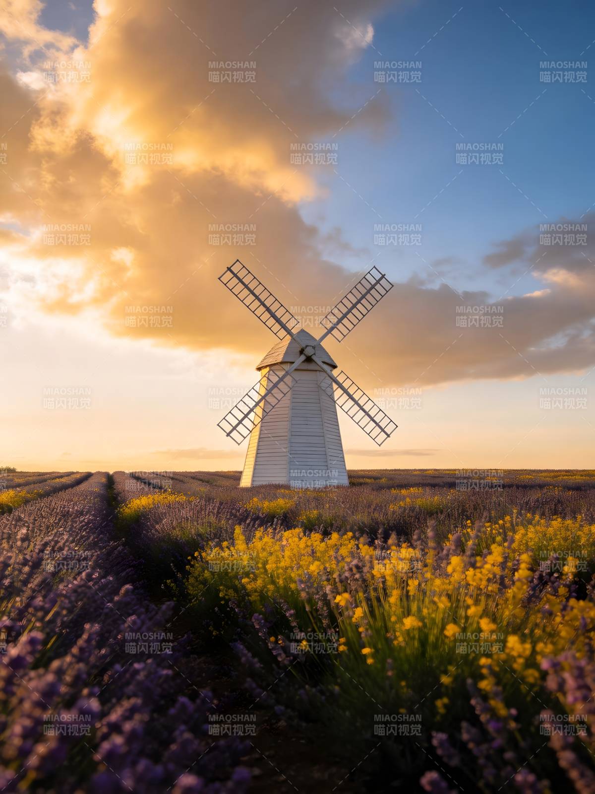 风车花海夕阳图片