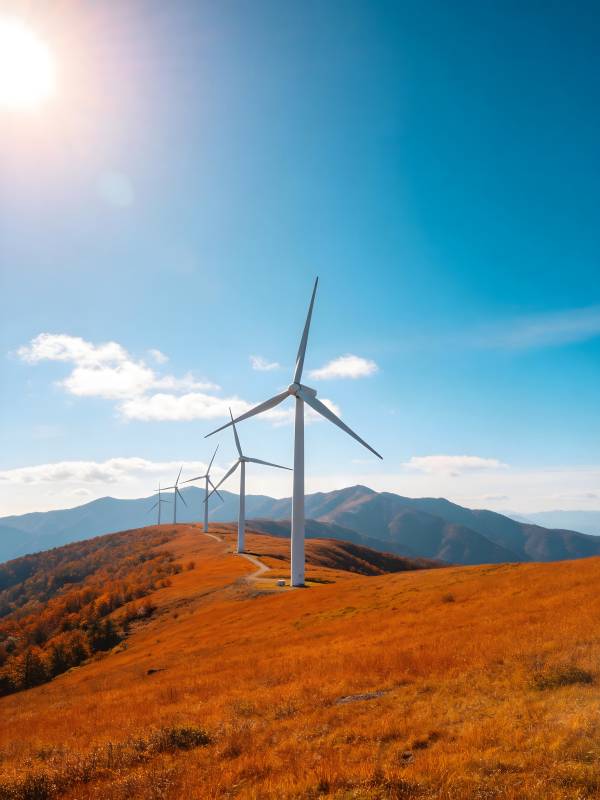 风车山野秋景图片