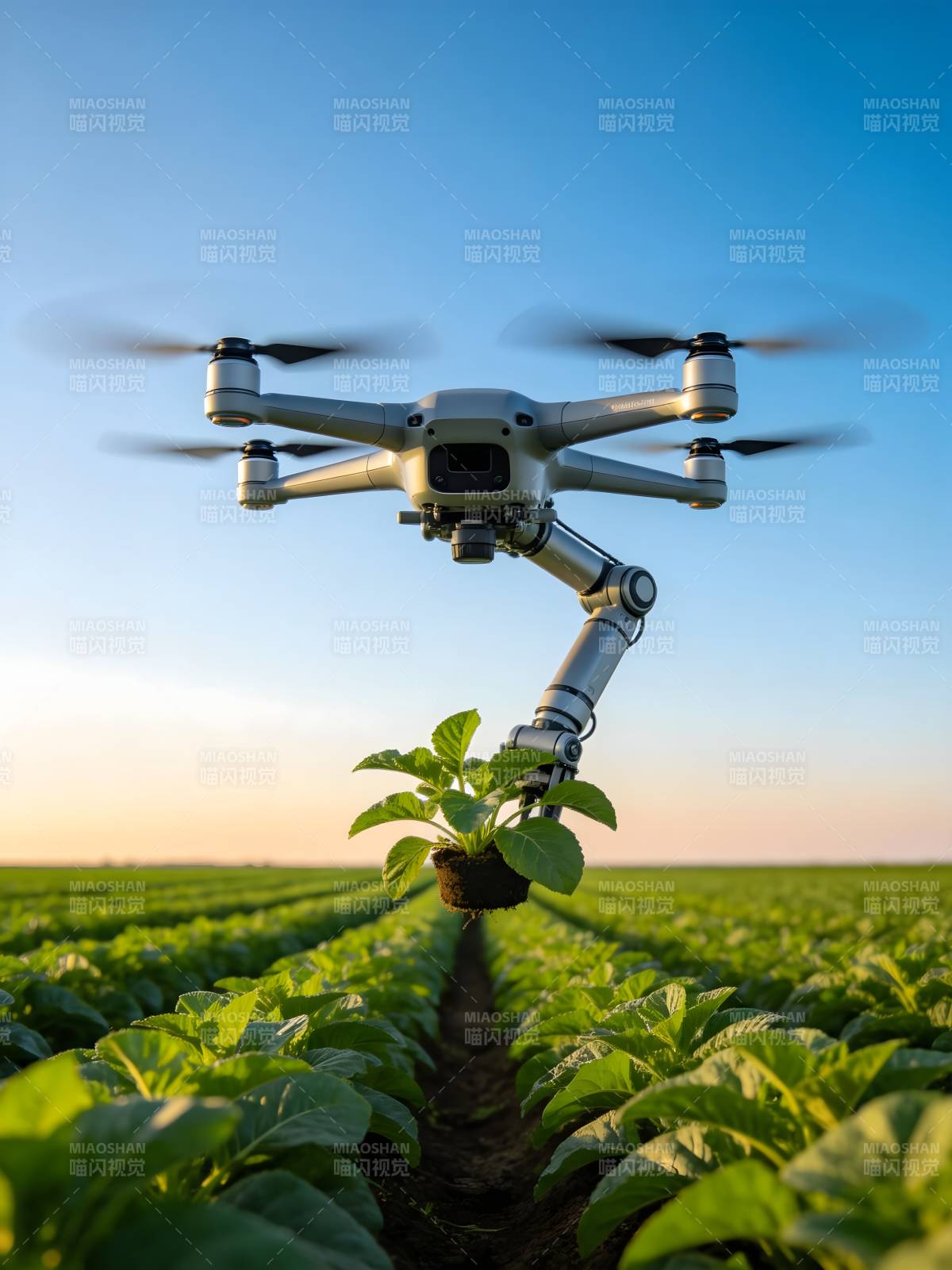 无人机植绿田间图片