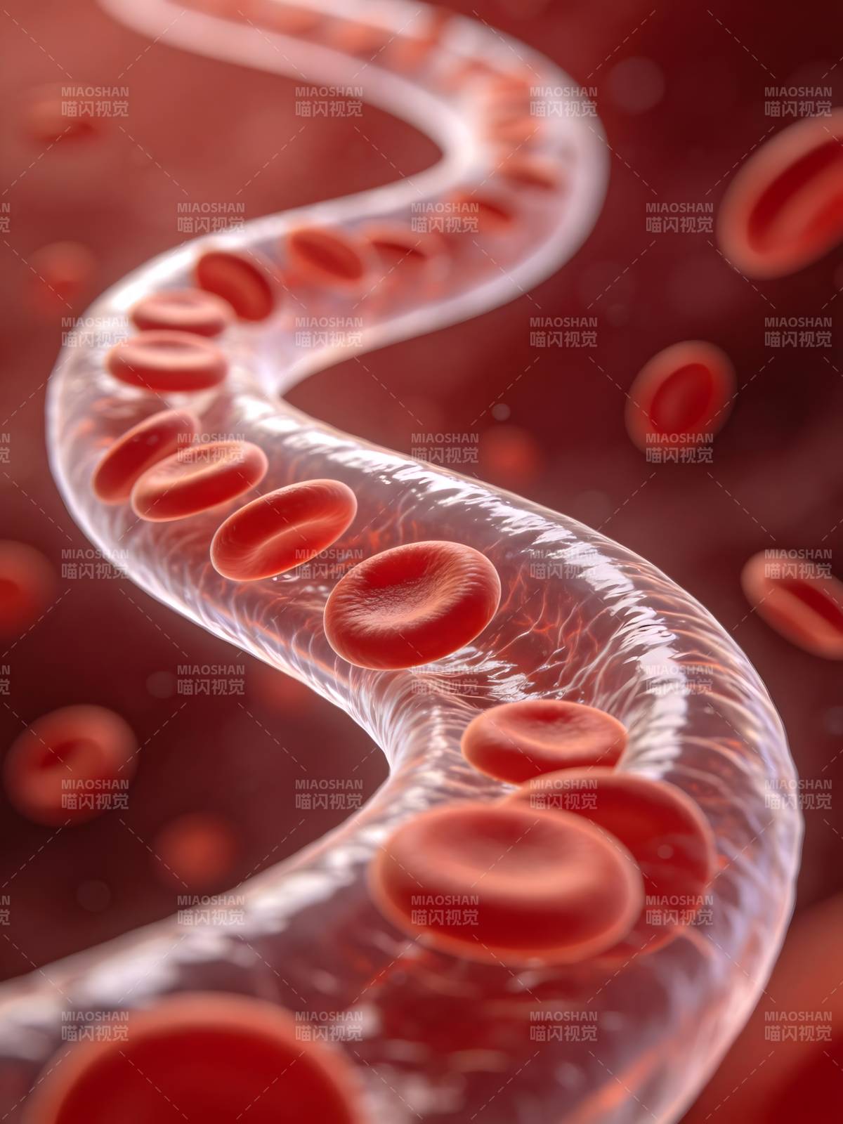 血液流动示意图图片