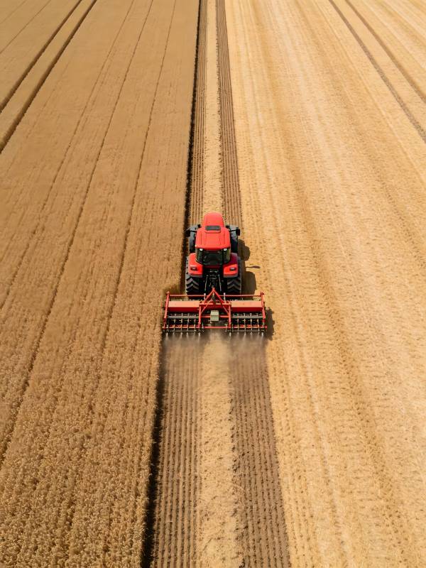 丰收时节的田野作业图片