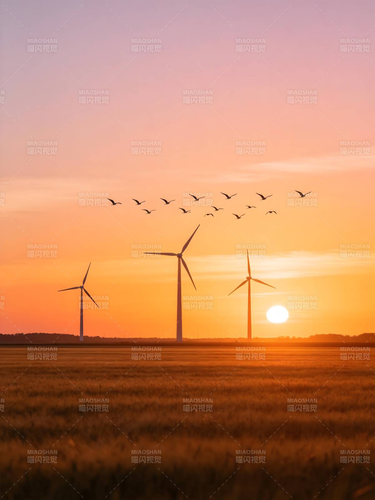 风车日落飞鸟图片