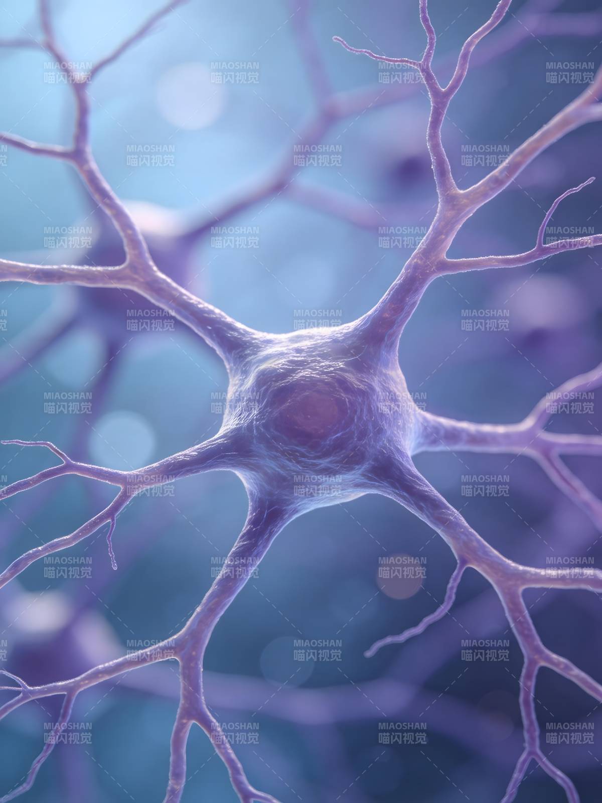 神经元细胞结构图片