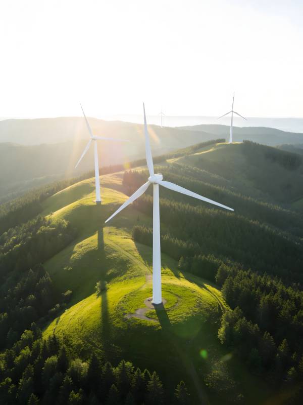 风车山景 绿意盎然图片